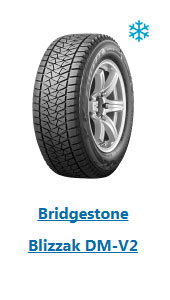 bridgestone blizzak dm-v2