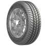 Barez Wintertech P642