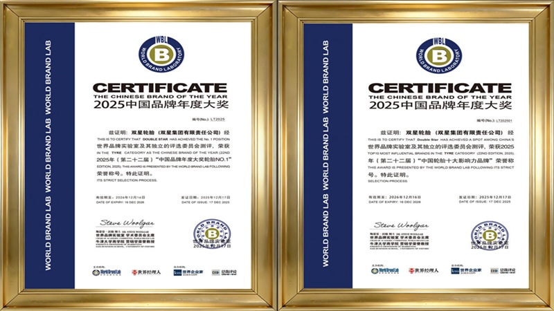 Doublestar получила две престижные награды