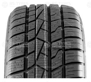 Delinte AW5 175/70 R13 82T