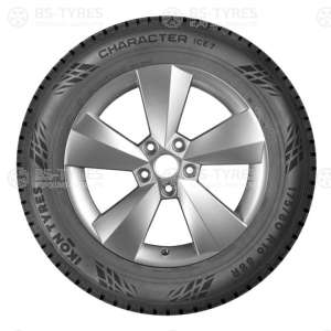 Ikon (Nokian Tyres) Character Ice 7 (Nordman 7) SUV 225/55 R18 102T