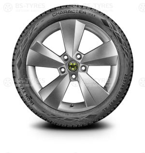 Ikon (Nokian Tyres) Character Ice 8 (Nordman 8) SUV 225/70 R16 107T
