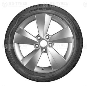Ikon (Nokian Tyres) Character Snow 2 (Nordman RS2) SUV 225/70 R16 107R