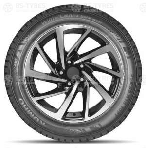 WinterCraft Ice WS31