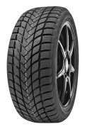 Delinte Winter WD6