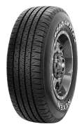 Nexen Roadian HTX 2